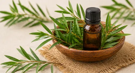 Mycotraxin tea tree oil ingredient